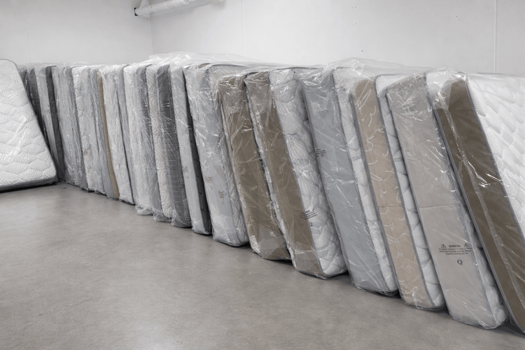 Renew Collection - OSHONIC