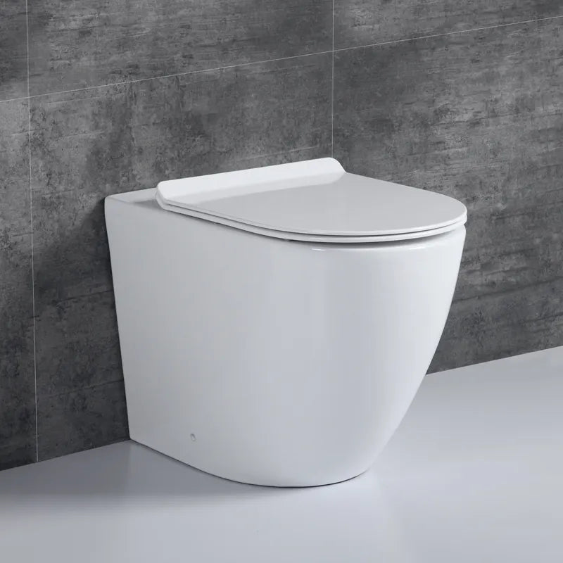 Earth Series · Back-to-Wall Toilet