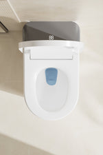 Aura Flex – real product image 4